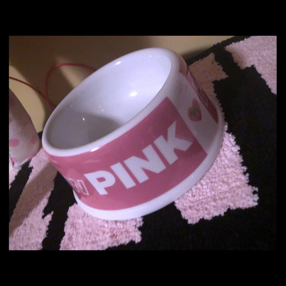 Vs pink display Dog Bowl